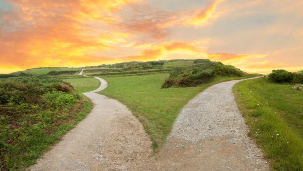Brainz Article 5 = Why is discernment the secret to true personalised wellbeing - blog image