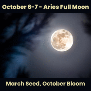 Aries Full Moon Blog Feature image