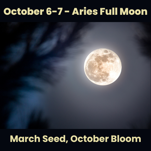 Aries Full Moon Blog Feature image