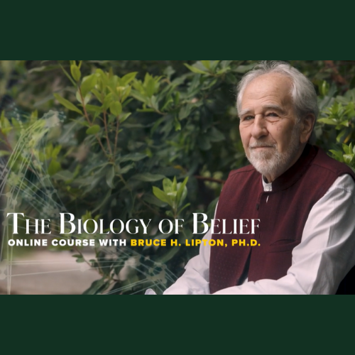The Biology of Belief - course with Dr Bruce Lipton