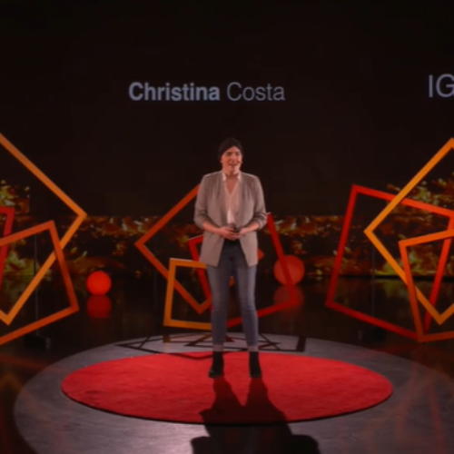 How Gratitude Rewires your Brain: Christina Costa Ted Talk