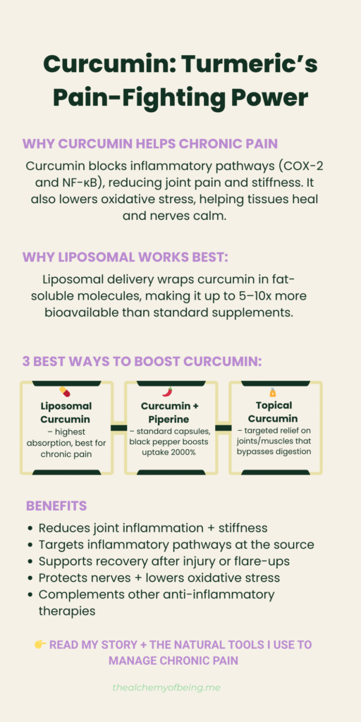 Chronic Pain Infographic -5