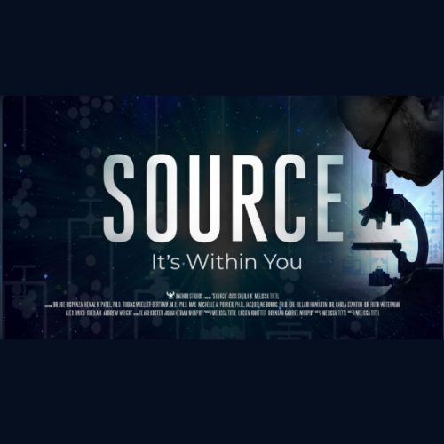 The Source by Dr Joe Dispenza