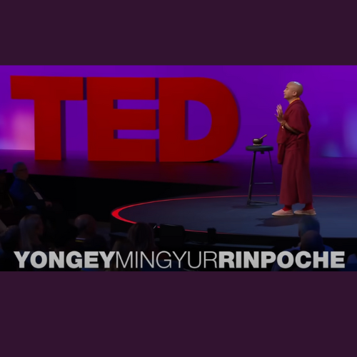 How to Tap into Your Awareness - Yongey Mingyur Rinpoche - TED