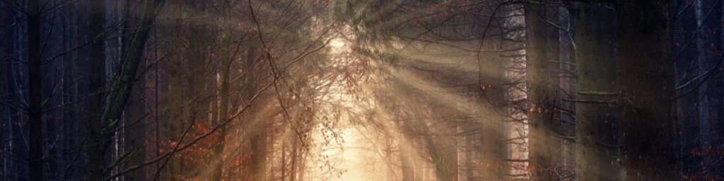 The Other Way - Myth & Mindfulness - Starting Over in Life - Section Image