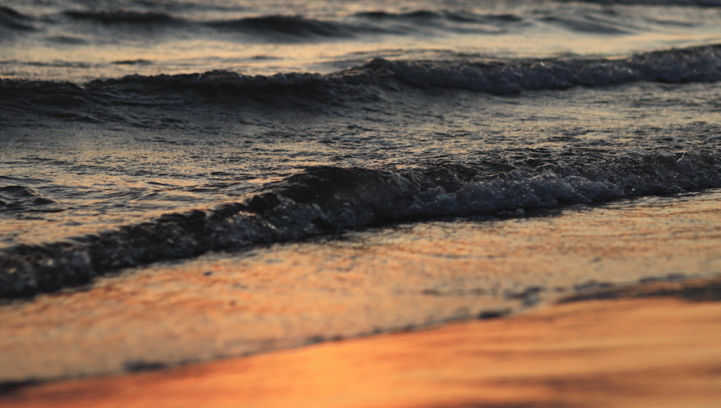 Brainz November - PACE Principle - Header Image