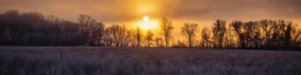 New Year Rituals 2026 Header Image