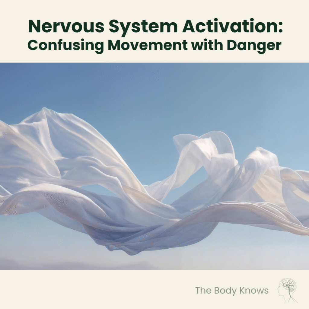 The Other Way February 2026 - The Body Knows - Nervous System Activation - Feature Image