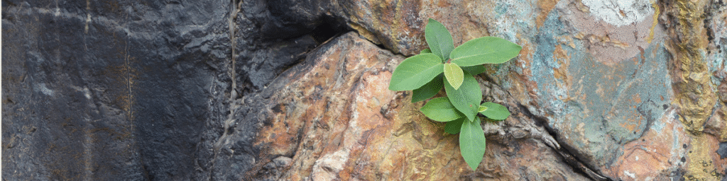 Myth & Mindfulness - Growth Discomfort Blog header image