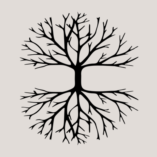 Functional Medicine