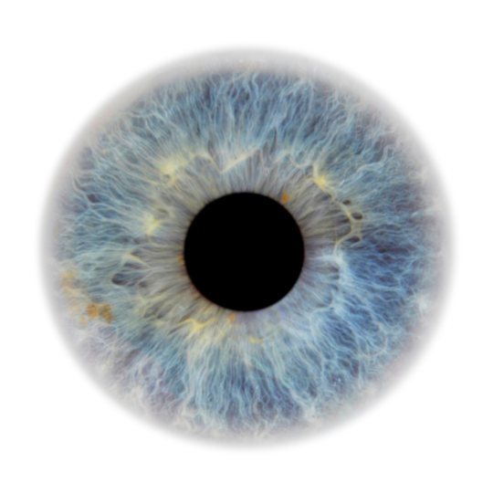 Modality Moments - week 19 - Iridology