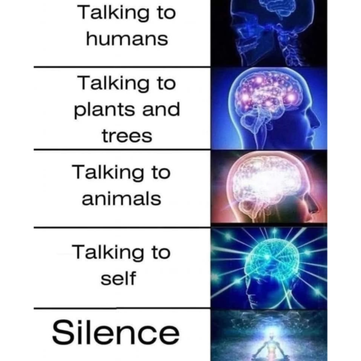 Mirth & Magic week 16 - Power of Silence
