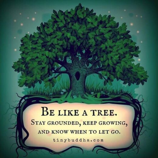 Mirth and mindfulness Newsletter wk21 be like a tree