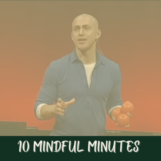 Toolbelt for Life - Resource Roundup - Andy Puddicombe Ted Talk- November 25