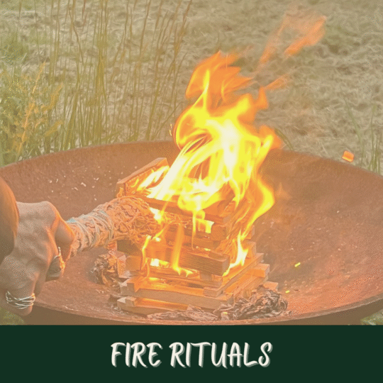 Dec T4L MM Feature Image