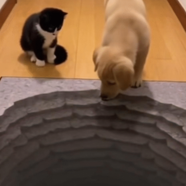 The Other Way December 25 - Witty Wonder