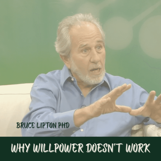 TFL Jan 2026 Tool Time Image