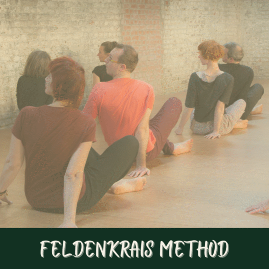 Toolbelt For Life - Feb 26 - Modality Moment - Feldenkrais Method image