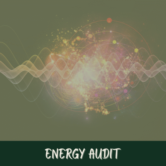 Toolbelt For Life - Feb 26 - Tool Time - Energy Audit - Image