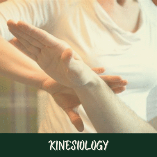 March Toolbelt for Life Modality Moment - Kinesiology